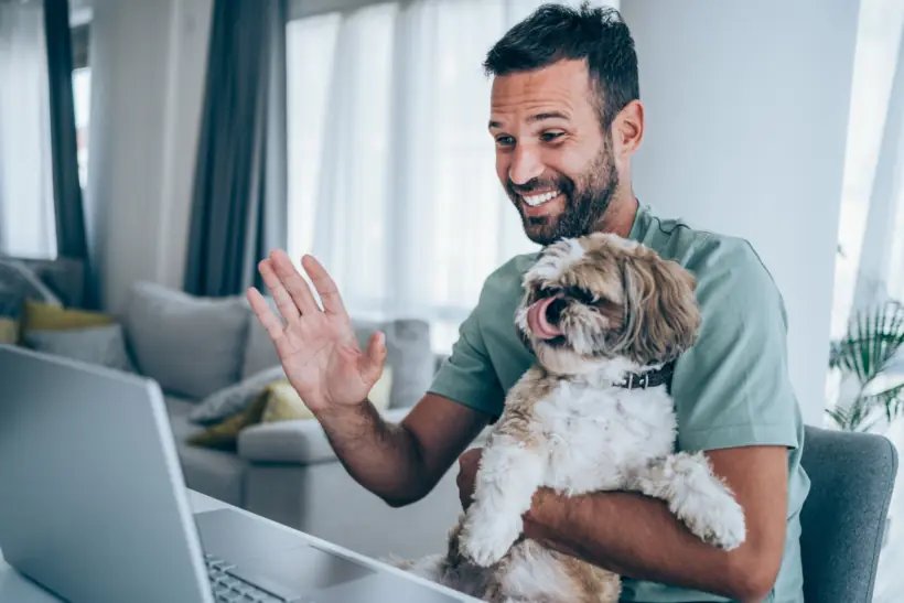 Auf gute Zusammenarbeit im Homeoffice – Grafik