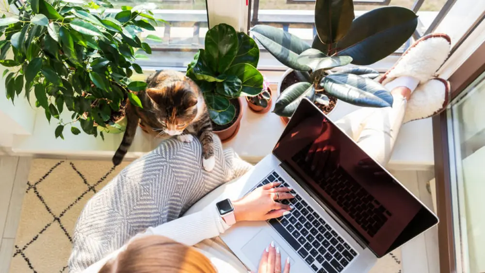 Die Arbeitszeiterfassungspflicht: Segen für die Work-Life-Balance?