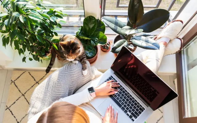 Die Arbeitszeiterfassungspflicht: Segen für die Work-Life-Balance?