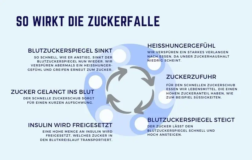 So schmeckt Glück: Wie Nahrung unsere Psyche beeinflusst – Grafik