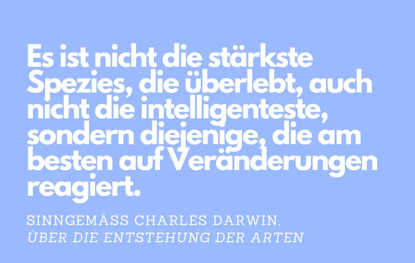 Über die Kraft des Widerstands: Was uns Resilienz im Alltag bringt – Grafik